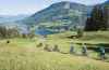 E-biketour mit Aussicht über den Alpsee